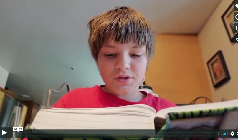boy reading at home