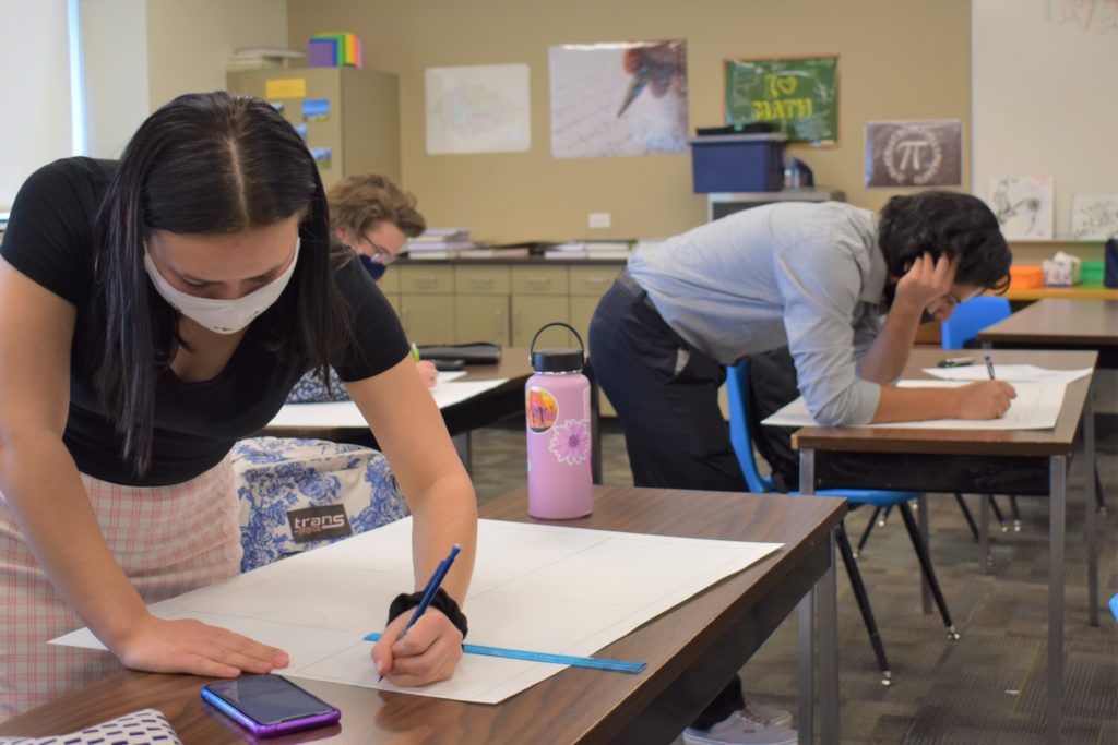 Student math projects